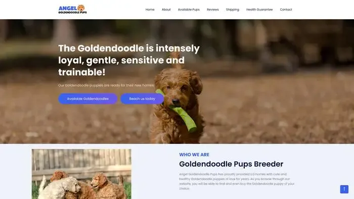 Screenshot of