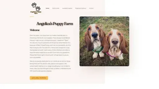 Screenshot of