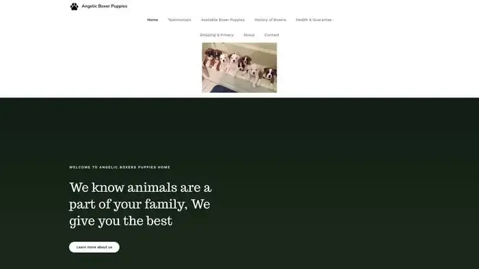 Screenshot of
