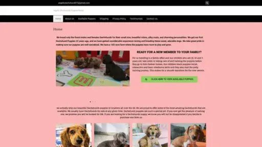 Screenshot of