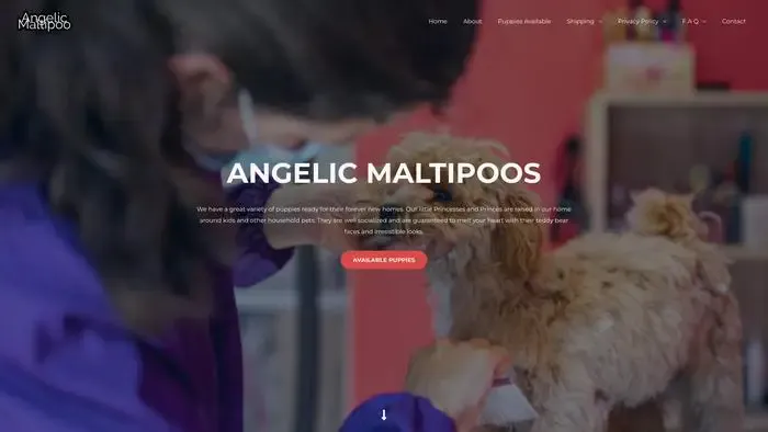 Screenshot of