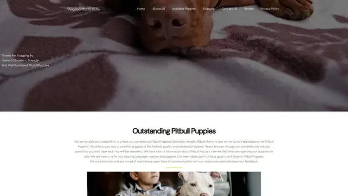 Screenshot of