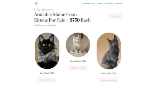 Screenshot of