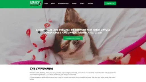Screenshot of