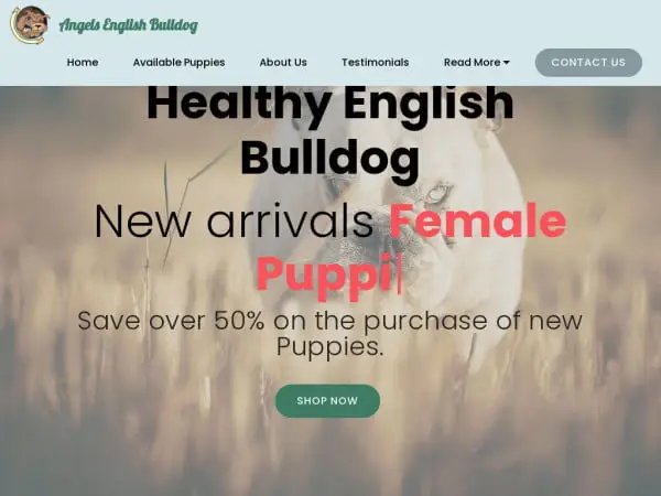 Screenshot of