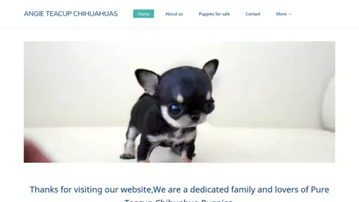 Screenshot of