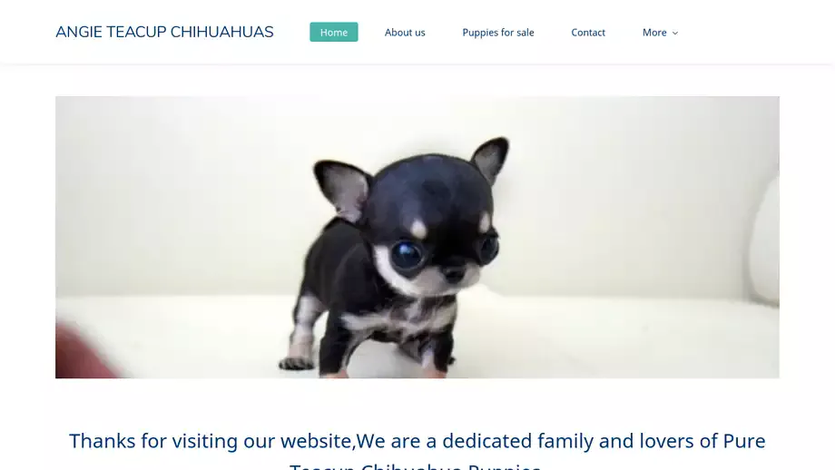 Screenshot of