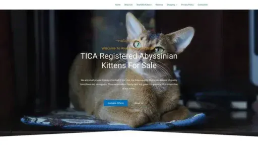 Screenshot of