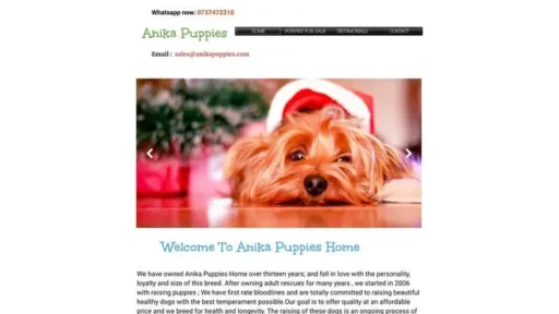 Screenshot of