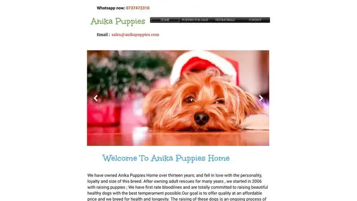 Screenshot of