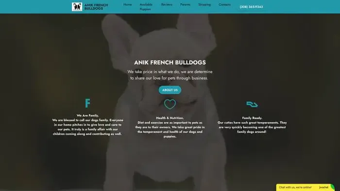 Screenshot of