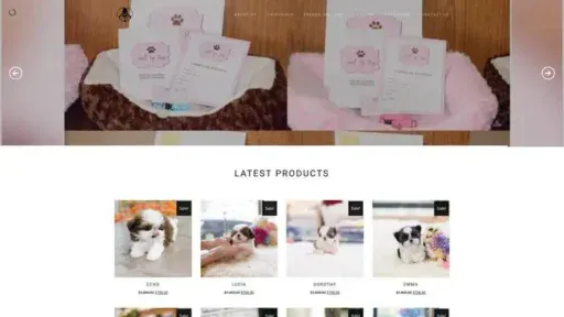 Screenshot of
