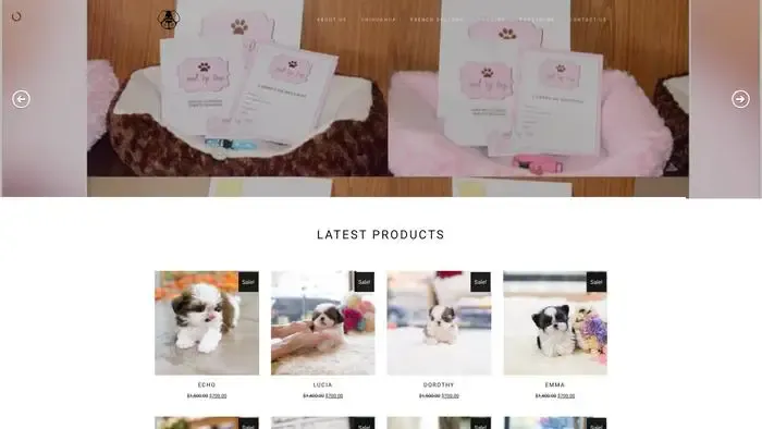 Screenshot of