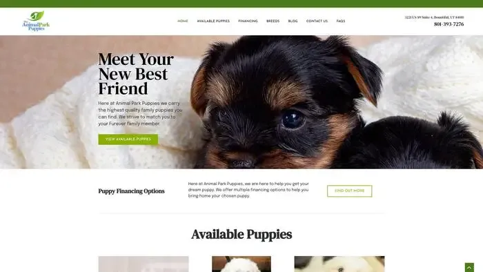 Screenshot of