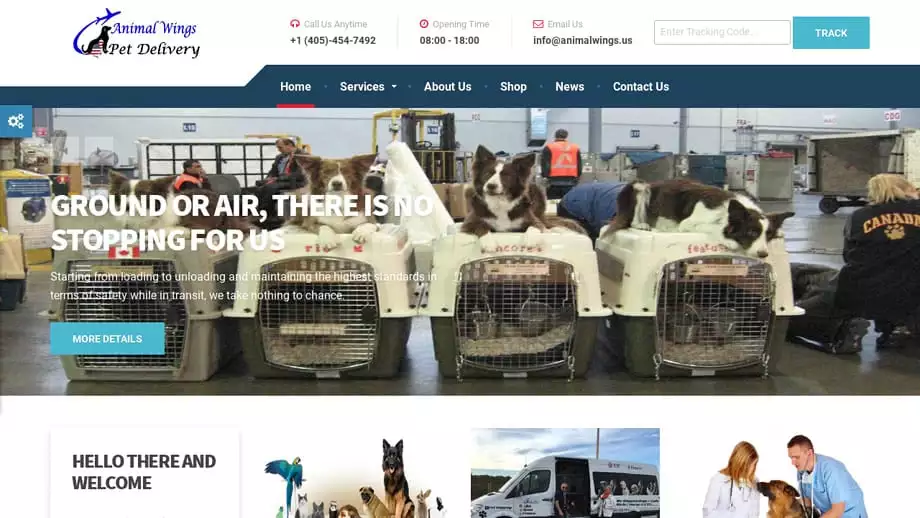 Screenshot of|