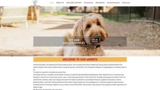 Screenshot of
