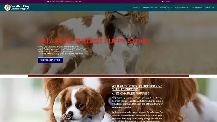 Screenshot of