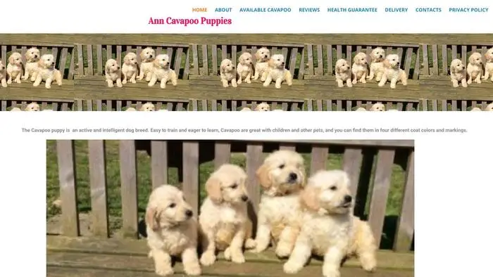 Screenshot of