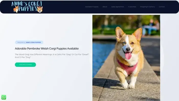 Screenshot of