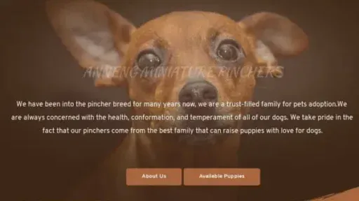 Screenshot of