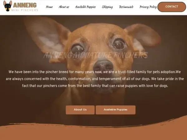 Screenshot of