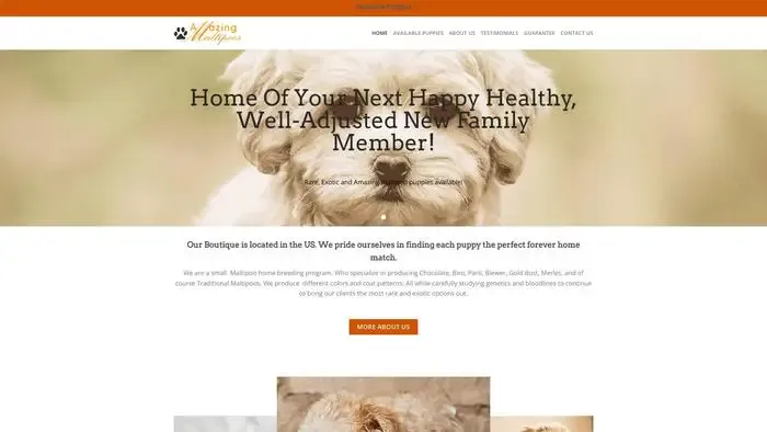 Screenshot of
