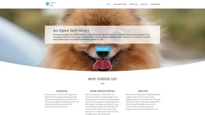 Screenshot of