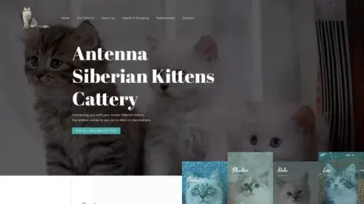 Screenshot of