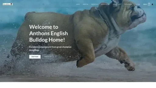 Screenshot of