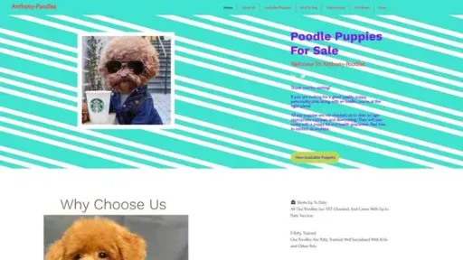 Screenshot of