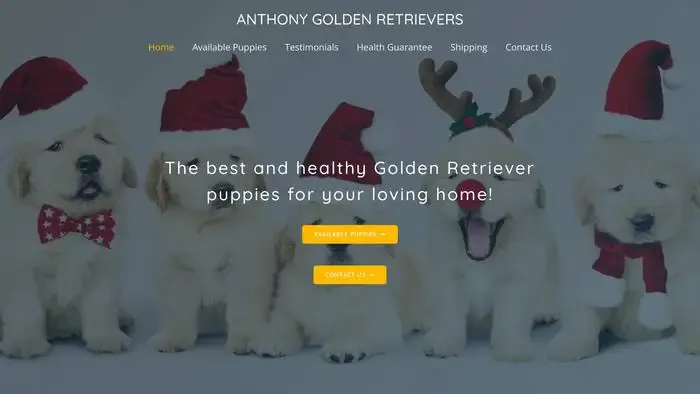 Screenshot of