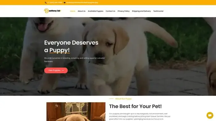 Screenshot of