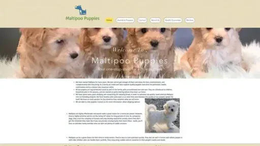 Screenshot of