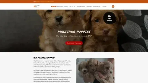 Screenshot of