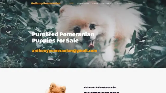 Screenshot of