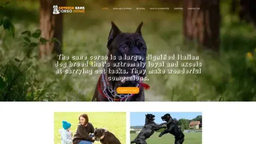 Screenshot of