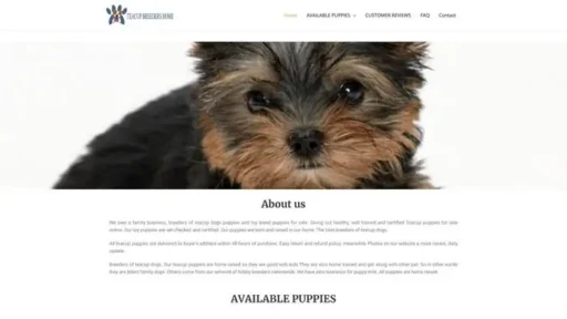 Screenshot of