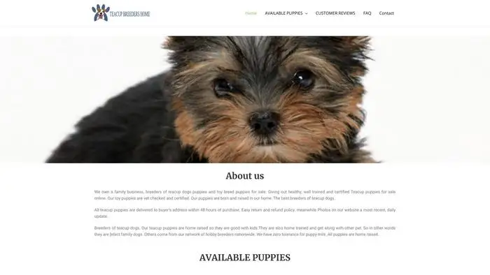 Screenshot of