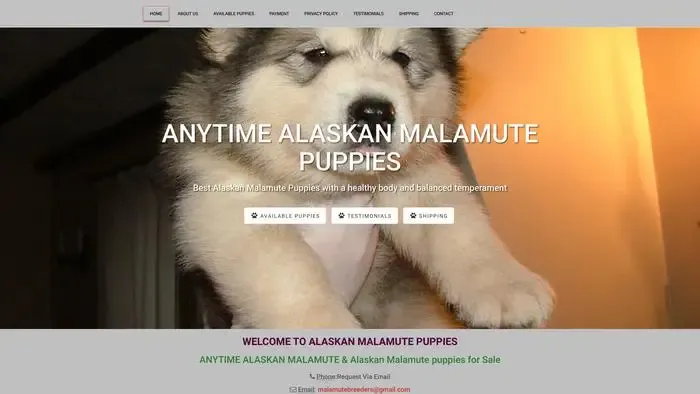 Screenshot of