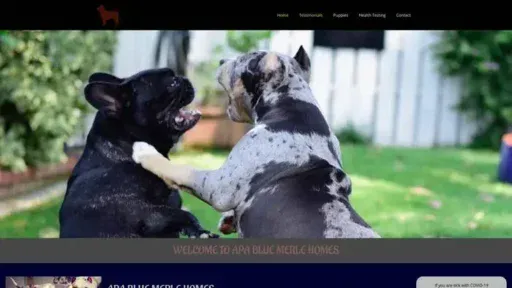 Screenshot of