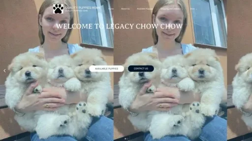 Screenshot of||