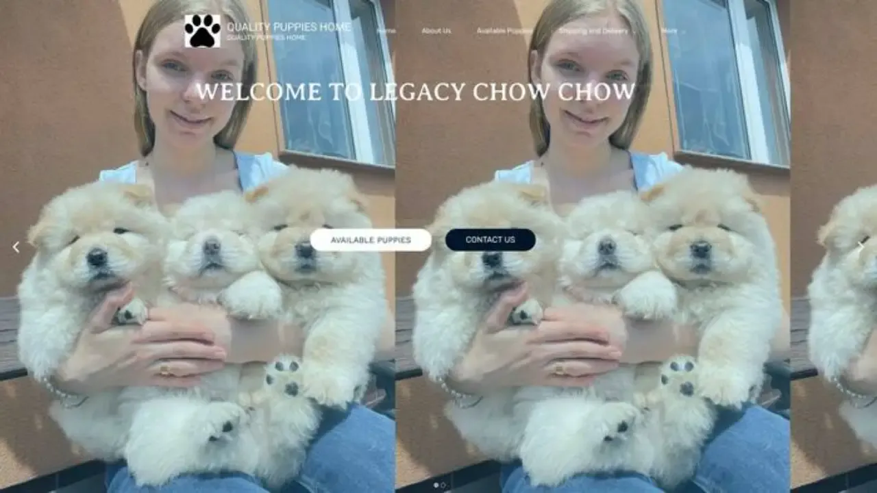 Apexchowchowpups