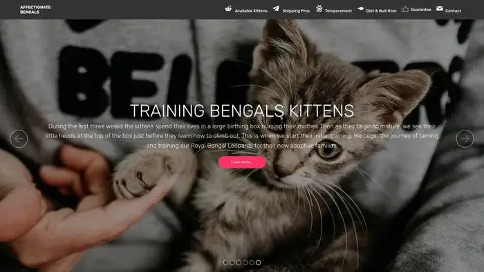 Screenshot of