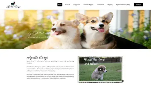 Screenshot of