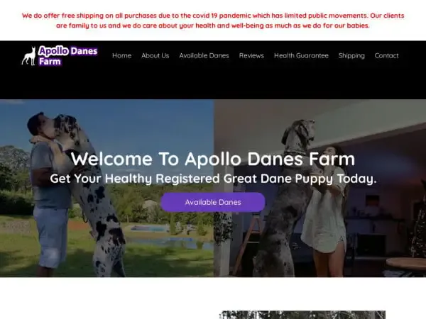 Screenshot of
