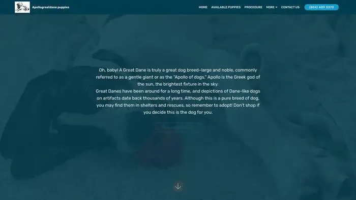 Screenshot of