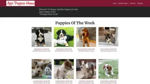 Screenshot of