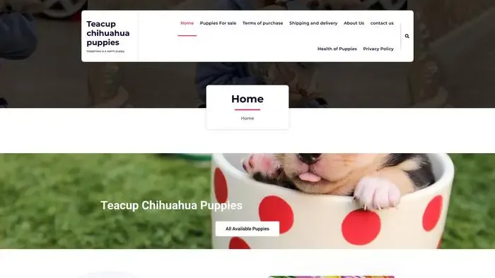 Screenshot of