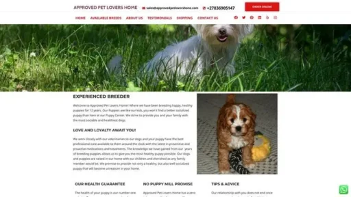 Screenshot of