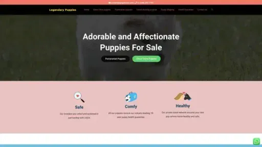 Screenshot of